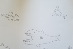 Undersea (Color your own) - submitted by: Matt L