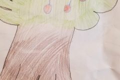 Apple Tree -submitted by: Ben L