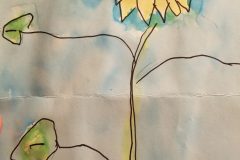 Sunny Flower -submitted by: Ben L
